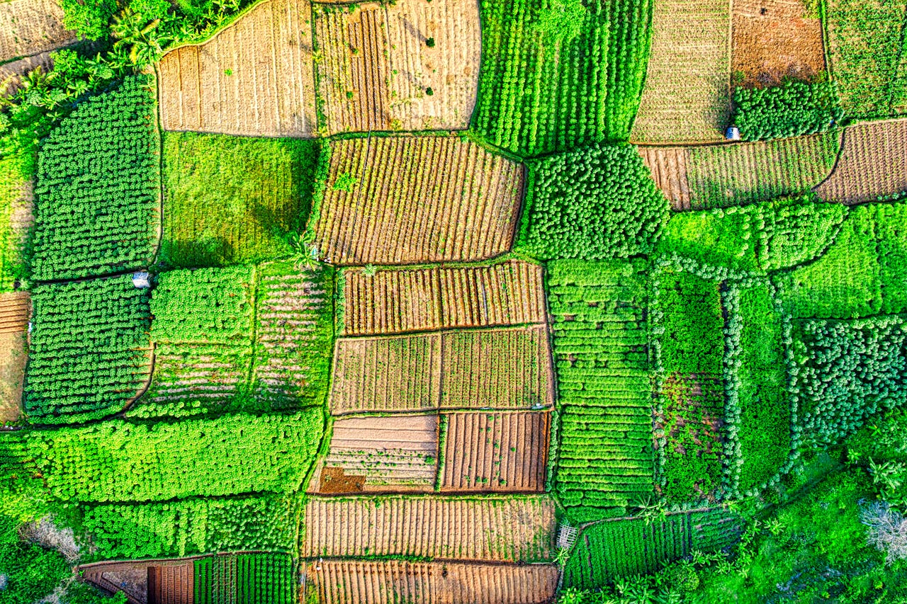 A stunning aerial shot showcasing diverse farmland patterns in West Java, Indonesia.